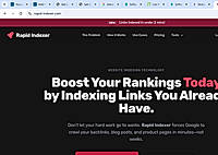 Rapid Indexer homepage
