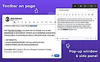 Toolbar on page + pop-up window & side panel