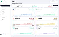 "Connect and manage all your bank accounts, credit cards, cash, and crypto wallets in one place with live balance tracking."