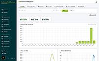 Business Intelligence