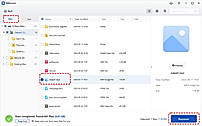 Select and restore files