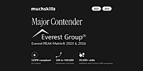 Everest Group PEAK Matrix Major Contender