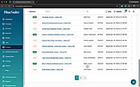 BlueSuite Invoice List