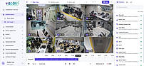 Live Feeds