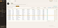 Invoices Auto generated
