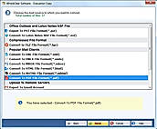 select pdf format