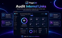 Audit Internal Links