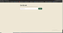 RankinSEO Audit