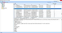 Export Option