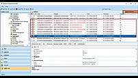 Select Export Option