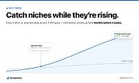 Daily trends: spot rising niches early