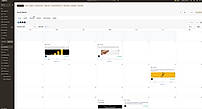 Social Planner