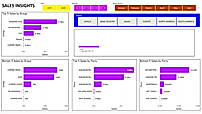 Newton ERP Sales Dashboard