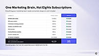 One Marketing Brain