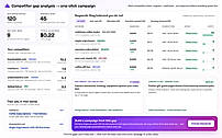 Competitive Intelligence (Identify competitors search terms, find gaps and read their ads)