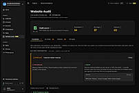 Website Audit