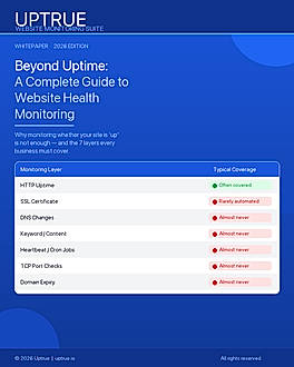 Beyond Uptime: A Complete Guide to Website Health Monitoring