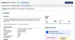Detailed company profile view showing description, size, and economic activity