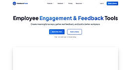 FeedbackPulse Homepage