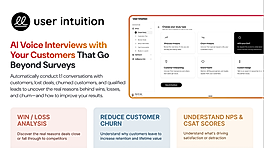 User Intuition Screenshot