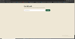 RankinSEO Dashboard