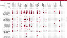 The Stateframe account-product map.