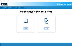 User Interface