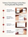 How Tolmete works