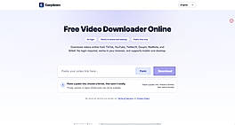 Free browser downloader — separate from the paid developer API