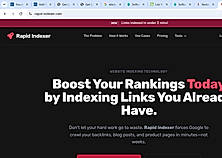 Rapid Indexer homepage