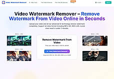 Video Watermark Remover workspace
