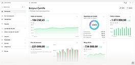 Dashboard: cash, P&L and KPIs at a glance
