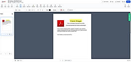 Editor Interface