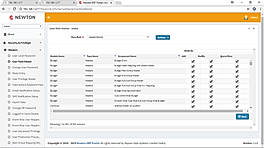 Newton ERP User Role