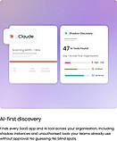 Shadow AI Discovery