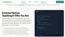 AEO services overview