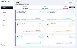 "Connect and manage all your bank accounts, credit cards, cash, and crypto wallets in one place with live balance tracking."
