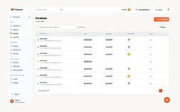 Invoice management — demo data