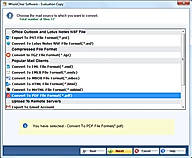 select pdf format