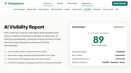 Monthly AI visibility report