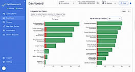 Voice of Customer Analysis
