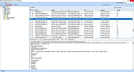 Export Option
