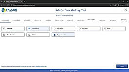 Selecting Specific Columns  Selectively choose the sheets and columns you want to mask. Personal, financial, and confidential fields such as names, emails, phone numbers, IDs, and addresses can be securely masked with a single click on Mask