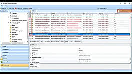 Select Export Option