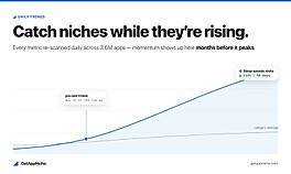 Daily trends: spot rising niches early
