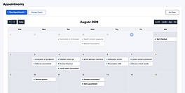 Appointment - Calendar View