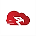CloudRaptor logo