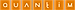Quantim logo