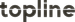 Topline Leads logo