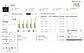 Telecalling Dashboard with Call Insights